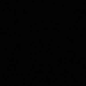 Meet your Posher, Daisha